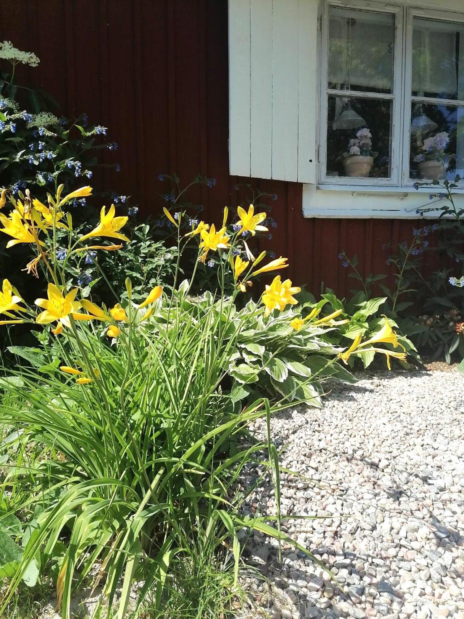 Rustik Stuga Med Lantlig Kaensla Naera Oerebro City Extérieur photo